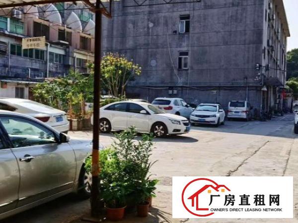  免中介招租各种规格厂房办公室仓库员工宿舍