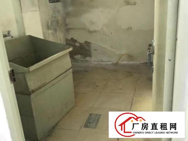  超值厂房，环境舒适，交通方便