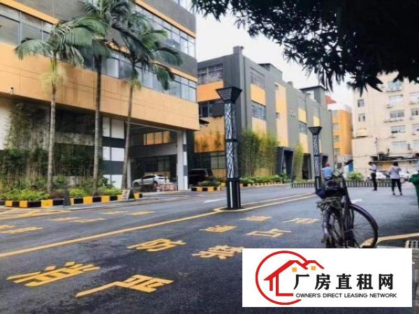  六约塘坑双地铁口稀缺红本独院厂房