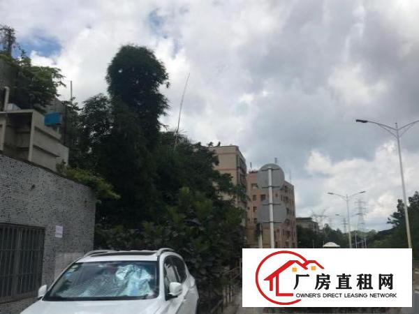  大康社区横坪路一楼路边厂房带停车位