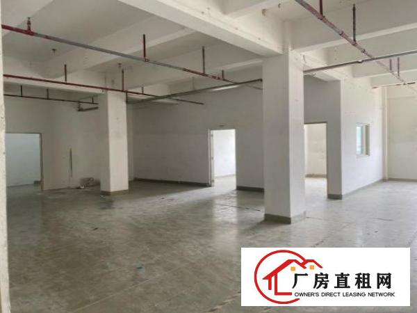  横岗六约新出靓盘，大小可租