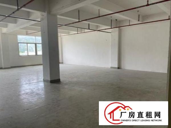  横岗六约新出靓盘，大小可租