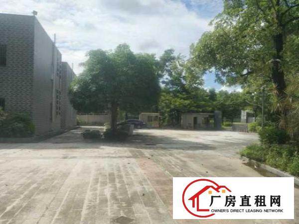  横岗占地3万建筑1万平独院总部基地，养老院，月子中心网红基地