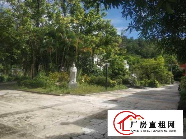  横岗占地3万建筑1万平独院总部基地，养老院，月子中心网红基地