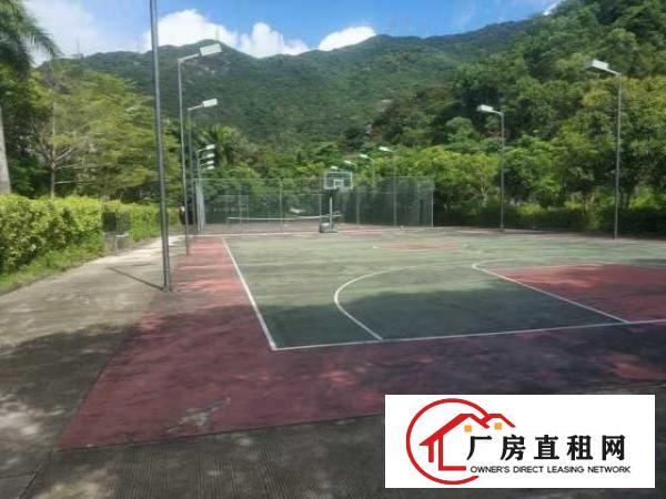  横岗占地3万建筑1万平独院总部基地，养老院，月子中心网红基地