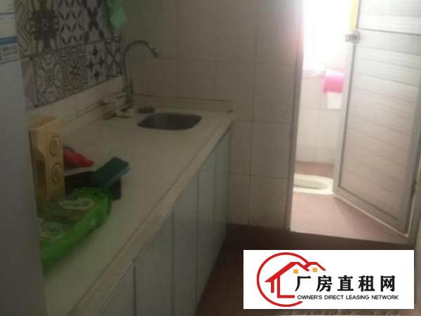  干净开阔厂房，无需转让费可全不转租了可合租