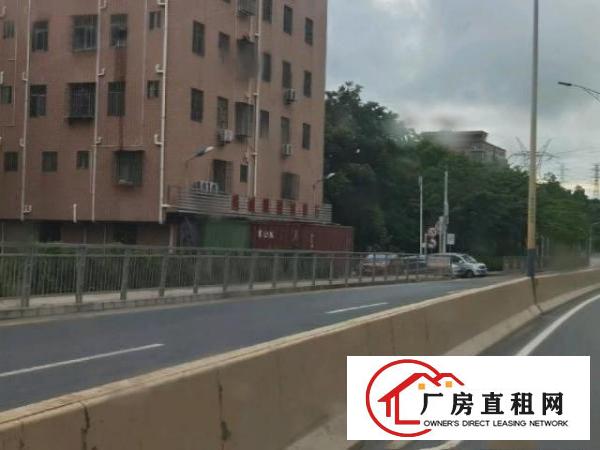  出租房一共25套，一房一厅15套，2房一厅5套，单房5套