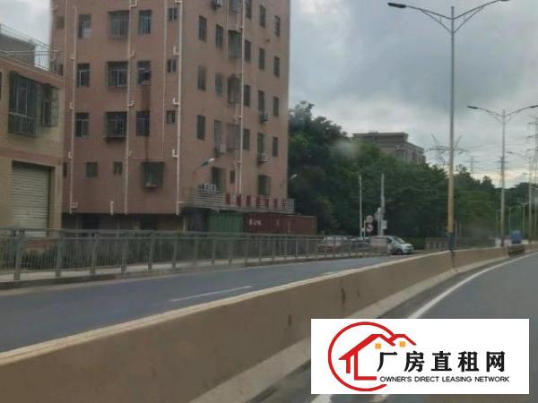  出租房一共25套，一房一厅15套，2房一厅5套，单房5套