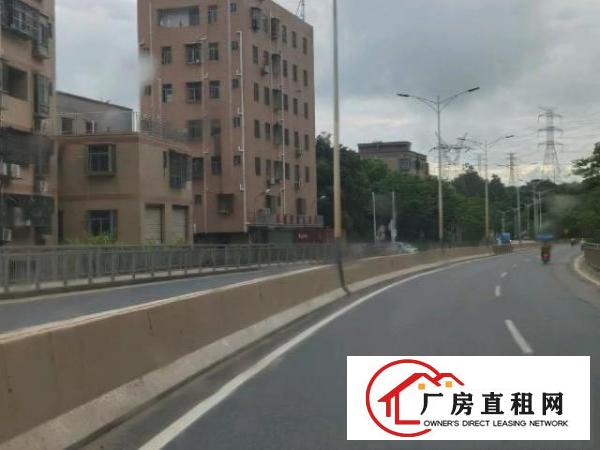  出租房一共25套，一房一厅15套，2房一厅5套，单房5套