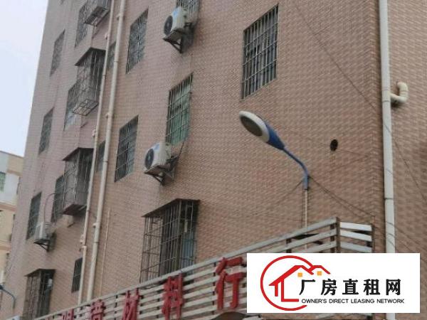  出租房一共25套，一房一厅15套，2房一厅5套，单房5套