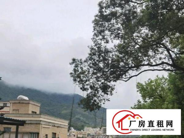  出租房一共25套，一房一厅15套，2房一厅5套，单房5套