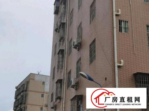  出租房一共25套，一房一厅15套，2房一厅5套，单房5套