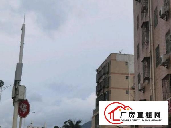 出租房一共25套，一房一厅15套，2房一厅5套，单房5套