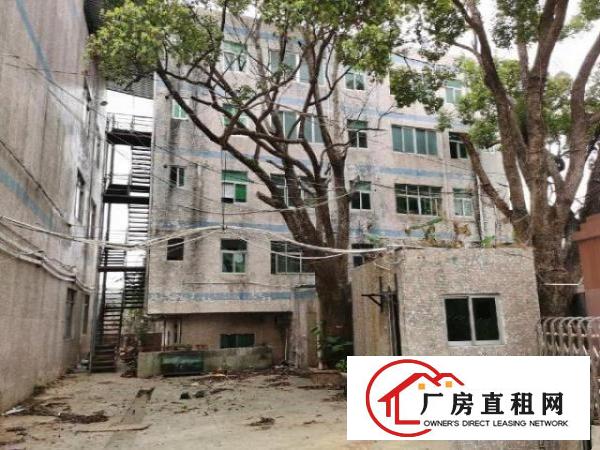  安良六约一手房东（原房东）独院厂房出租
