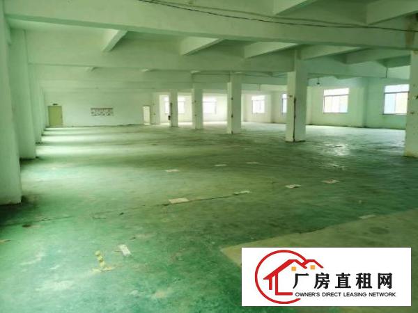 安良六约一手房东（原房东）独院厂房出租