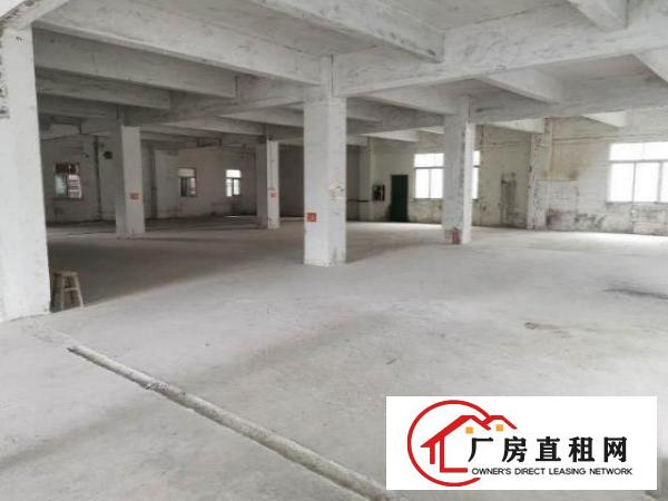  原房东安良700多平沙荷路边楼上厂房