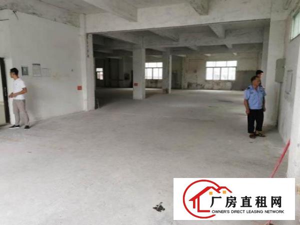  原房东安良700多平沙荷路边楼上厂房