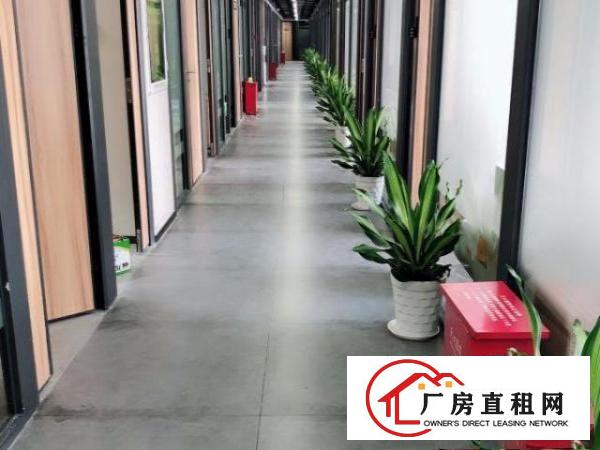  龙岗横岗地铁口附近孵化基地办公室出租，环境优美，申请创业贷
