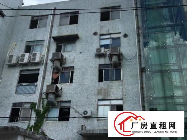  厂房宽敞明亮。可做电商、仓库、小型加工厂等