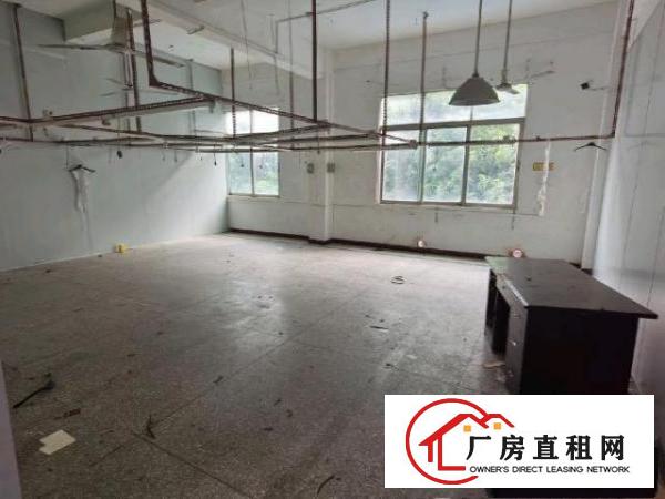  房东直租有宿舍中介勿扰