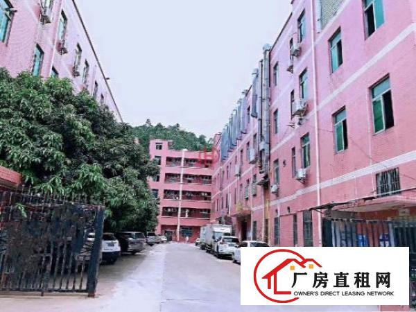  横岗新出精装修标准厂房