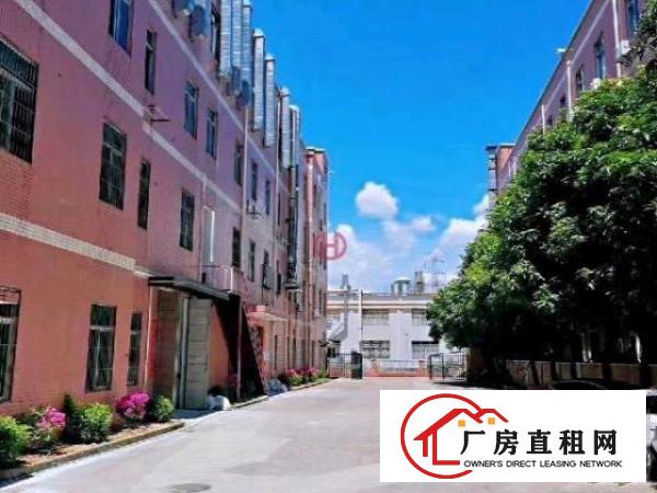  横岗新出精装修标准厂房