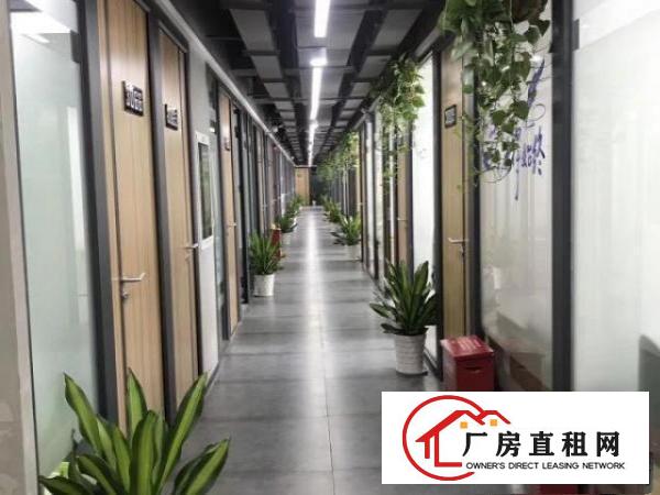  龙岗横岗市级孵化基地商务中心，小型办公室出租，精装拎包办公