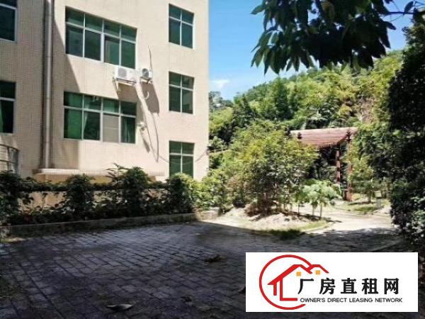  横岗独院整租，自带花园厂房