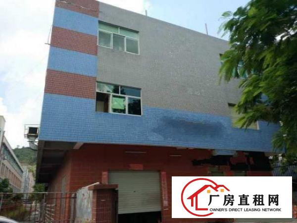  出租龙岗区横岗沙荷路边厂房