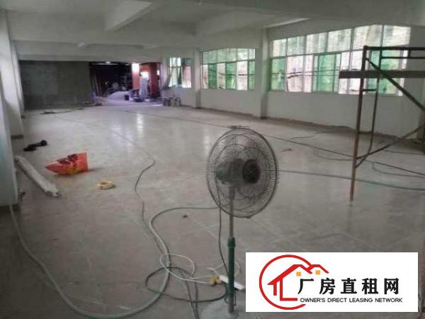  出租龙岗区横岗沙荷路边厂房