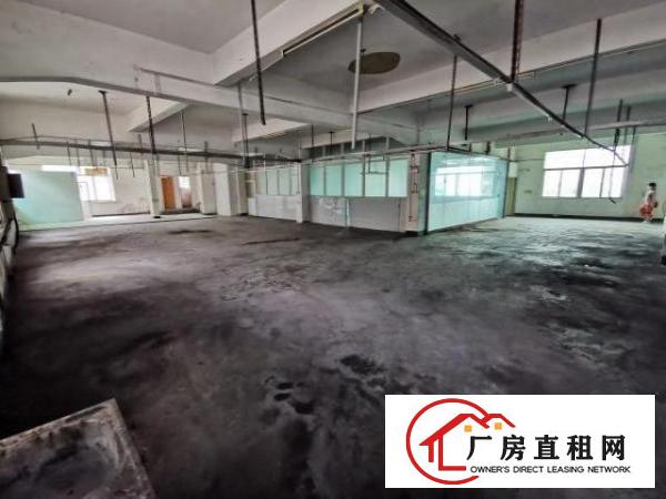  实际面积1100平20块原房东厂房