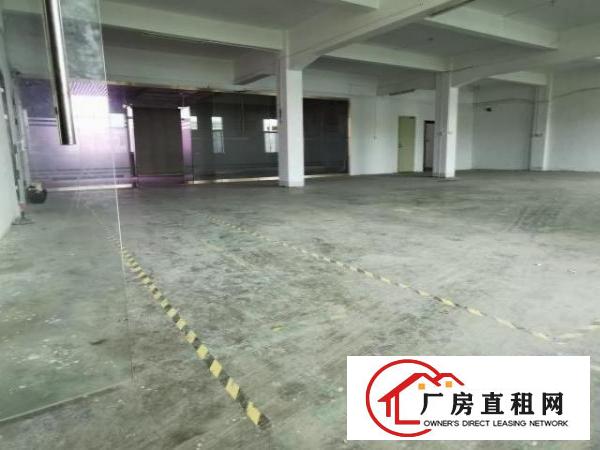  实际面积1100平20块原房东厂房