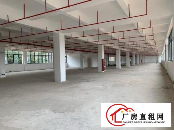  横岗六约珠宝园厂房出租850平