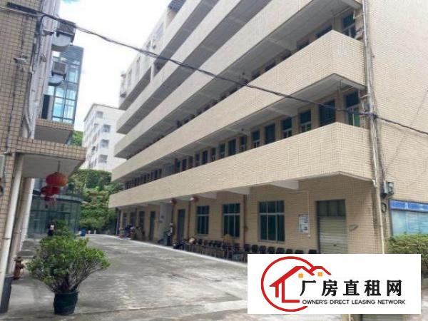  横岗沙荷路边花园式独院厂房9000平（可分租）