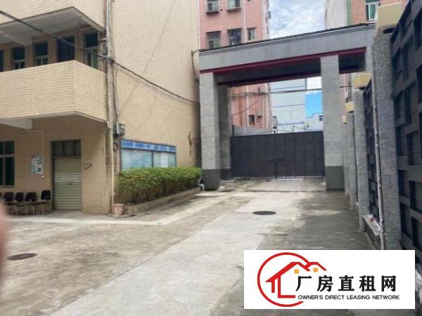  横岗沙荷路边花园式独院厂房9000平（可分租）