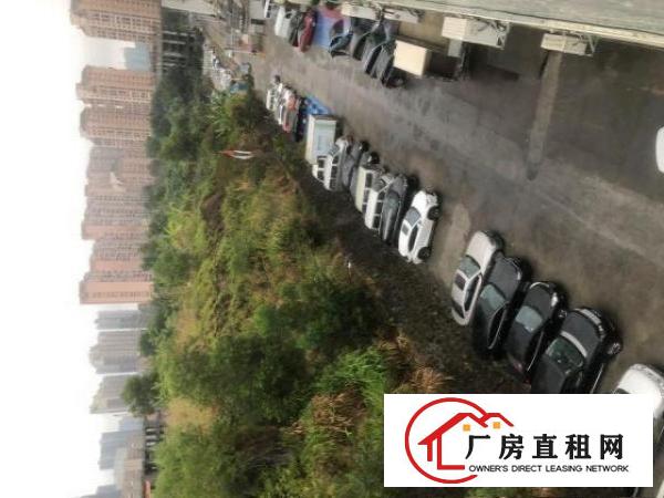  横岗六约急租出租横岗办公室仓库150到250平方左右