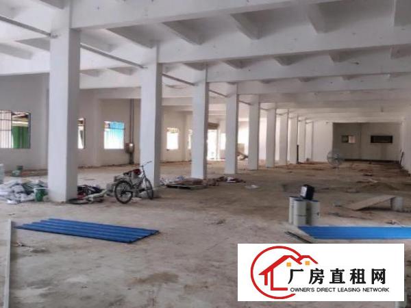  横岗方正漂亮独院厂房8800平出租招租分租整租