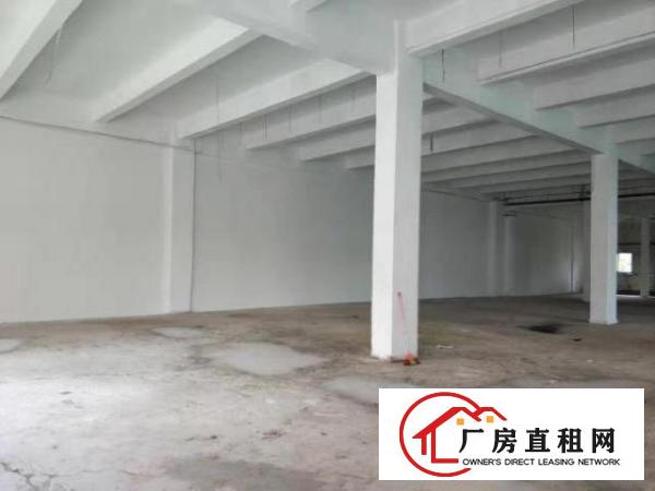  力嘉工业区一楼标准厂房680平米招租