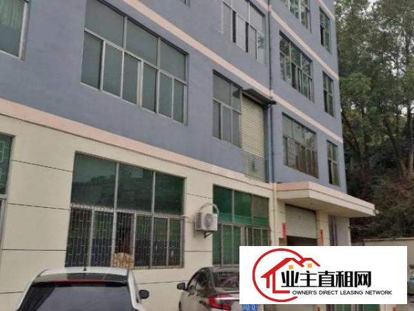  横岗四联1150平方带装修厂房出租无转让费