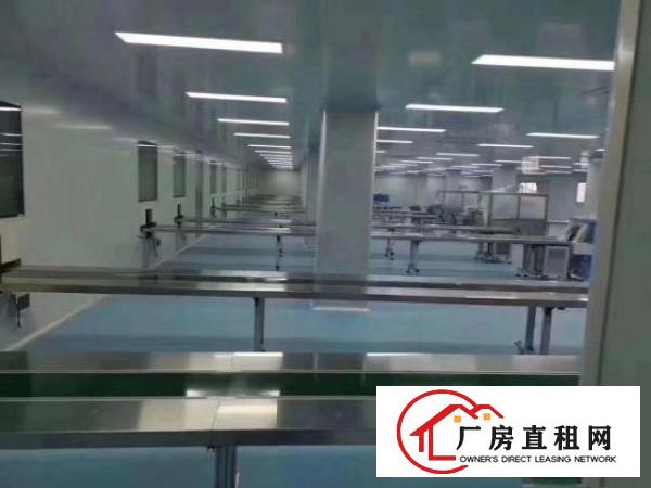  横岗六约1500平无尘车间厂房出租可直接生产口罩