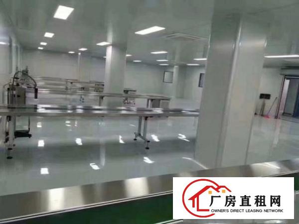  横岗六约1500平无尘车间厂房出租可直接生产口罩