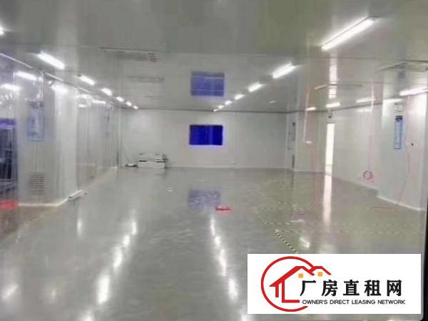  横岗六约1500平无尘车间厂房出租可直接生产口罩