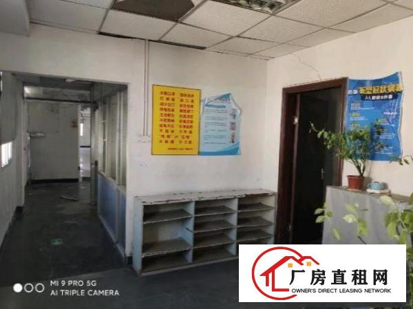  独门独院村委厂房，带装修。