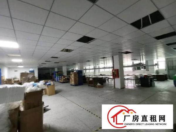  可办环评横岗独门独院厂房8000平方含宿舍合同8年