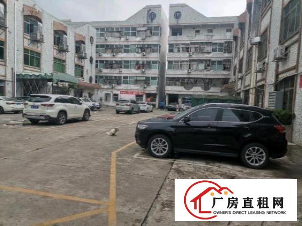  龙岗大道边上3楼500平带消防喷淋