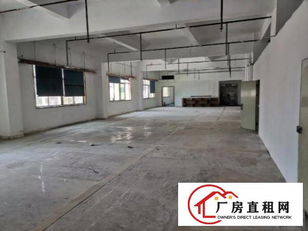  龙岗大道边上3楼500平带消防喷淋