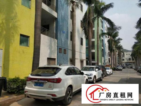  横岗塘坑地铁口宿舍出租，共450间