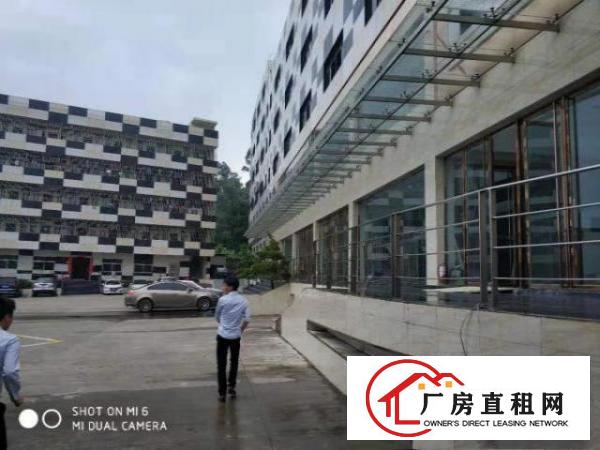  横岗六约埔厦工业区现成服装展厅920平米招租无需转让费