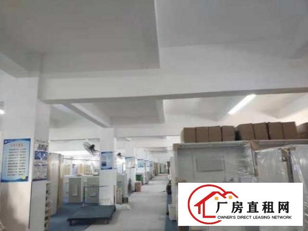  荷坳2楼花园式带装修厂房1785平可分租