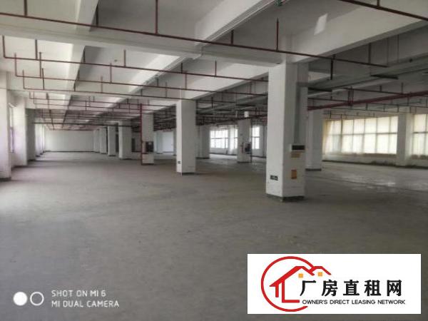  横岗荷坳地铁站附近新出厂房面积2000平米出租大小可以随意分